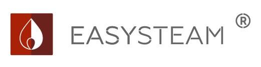 Логотип ИЗИСТИМ (EASYSTEAM)