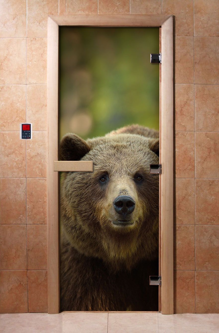 Дверь для бани и сауны Doorwood с фотопечатью A065