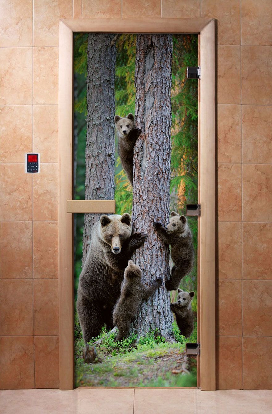 Дверь для бани и сауны Doorwood с фотопечатью A064