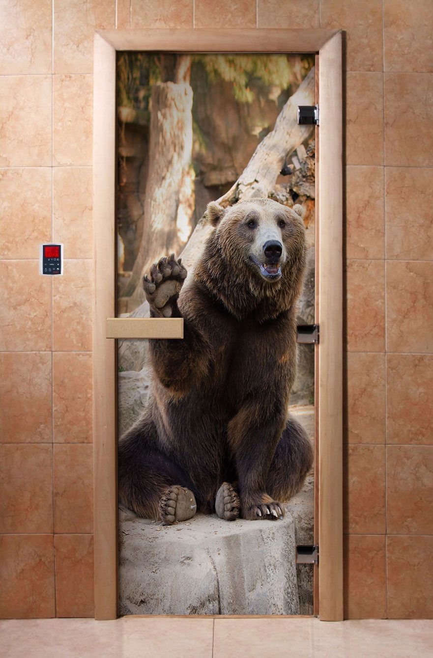 Дверь для бани и сауны Doorwood с фотопечатью A061