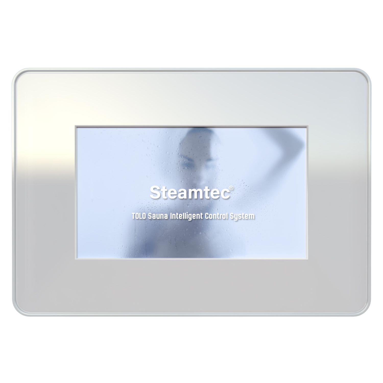 Пульт управления для парогенераторов Steamtec TOLO-MOMENT