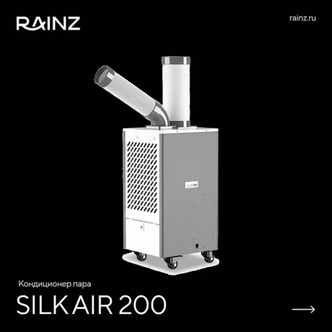 Кондиционер шелкового пара RAINZ SILKAIR 200