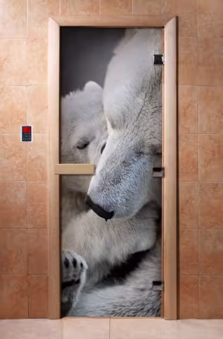 Дверь для бани и сауны Doorwood с фотопечатью A066 700х1900 мм