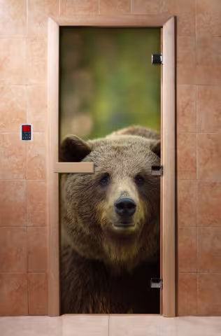 Дверь для бани и сауны Doorwood с фотопечатью A065 800х2000 мм