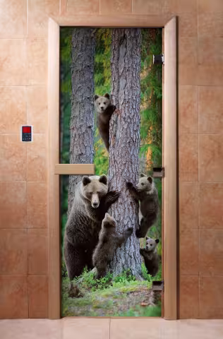 Дверь для бани и сауны Doorwood с фотопечатью A064 800х2000 мм
