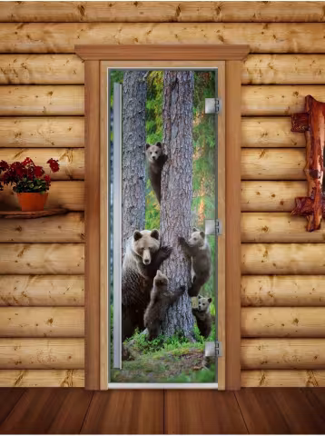 Дверь для бани и сауны Doorwood Престиж Фотопечать А064 800х2000 мм