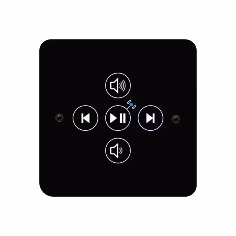 Пульт управления аудиоколонками Fasel FCU-EXT-AUDIO-MODUL-SW с функцией Bluetooth
