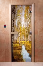 Дверь для бани и сауны Doorwood с фотопечатью A082
