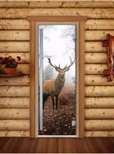Дверь для бани и сауны Doorwood Престиж Фотопечать А080 700х1900 мм