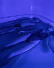 Флоат-бассейн для двоих Nirvana