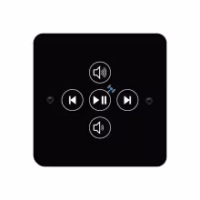 Пульт управления аудиоколонками Fasel FCU-EXT-AUDIO-MODUL-SW с функцией Bluetooth