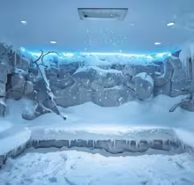 Снежная комната Evo Snow Room ES.SNOWROOM